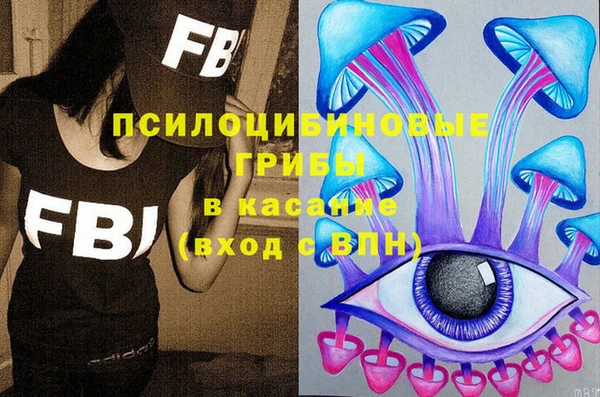 МДПВ Абаза