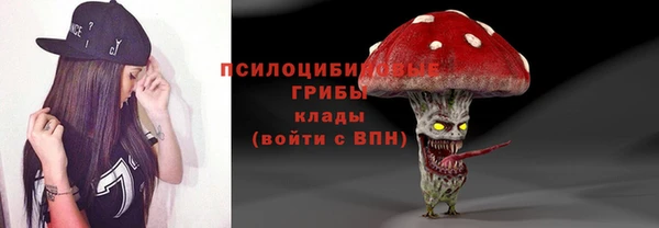 амф Абинск