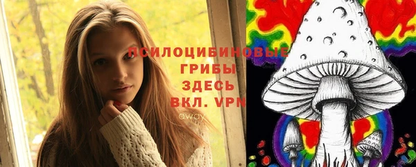 PSILOCYBIN Абдулино