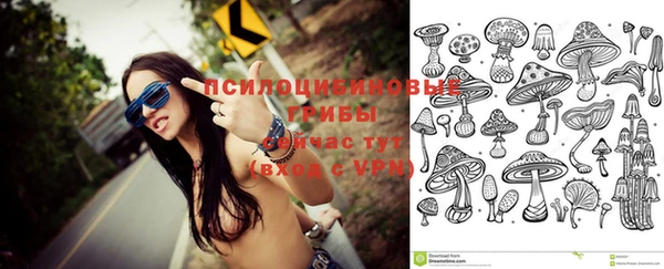 МДПВ Абаза