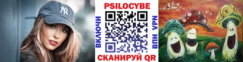MEGA ссылка  Омск  Псилоцибиновые грибы Psilocybine cubensis  где купить  